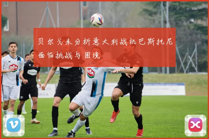 贝尔戈米分析意大利战机巴斯托尼面临挑战与困境