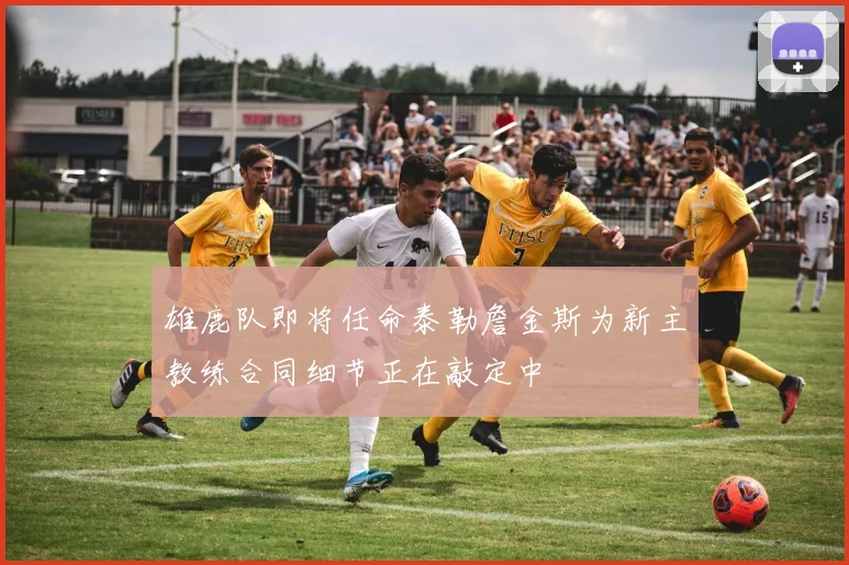 雄鹿队即将任命泰勒詹金斯为新主教练合同细节正在敲定中